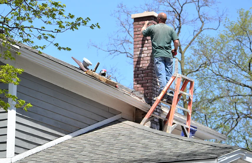 Chimney & Fireplace Inspections Services in Twin Falls, ID
